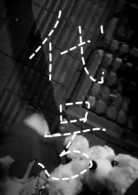 ���ţ�H��