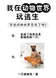 ���ڶ������������� ���+����