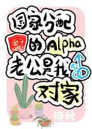 ����Լ�Cλ�ɻ�