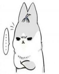 ����Ĳ��ǹ���