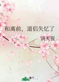 ����ǰ������ʧ����