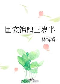 �ų���������