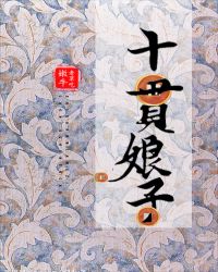 ʮ������