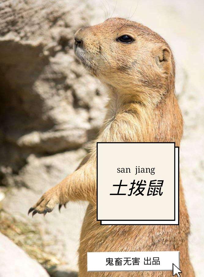 [��]�����С��ʨ