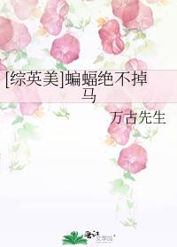 [��Ӣ��]�����������