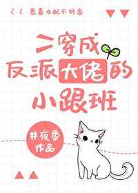 ���ɷ��ɴ��е�С����