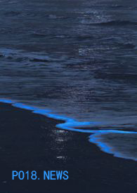 ���ﻨ��Ű��