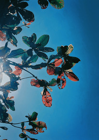 �����أ��λ���