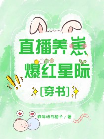 ֱ�����̣������Ǽ�