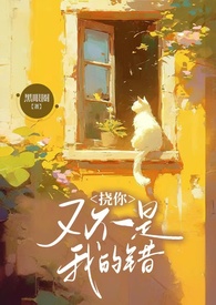 �����ֲ����ҵĴ�������1V2 ��