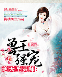 ����ǿ�裺����ʥ��ʦ