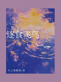 ��ʳ����