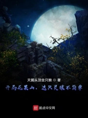 ���ֻ���ɽ����ֻ��Գ���򵥣�