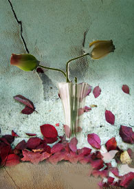 �ҵ�����������